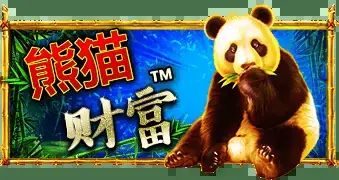 PP电子熊猫财富